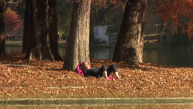 Horoscop 6 decembrie, cu Neti Sandu. Leii primesc bani din mai multe părți