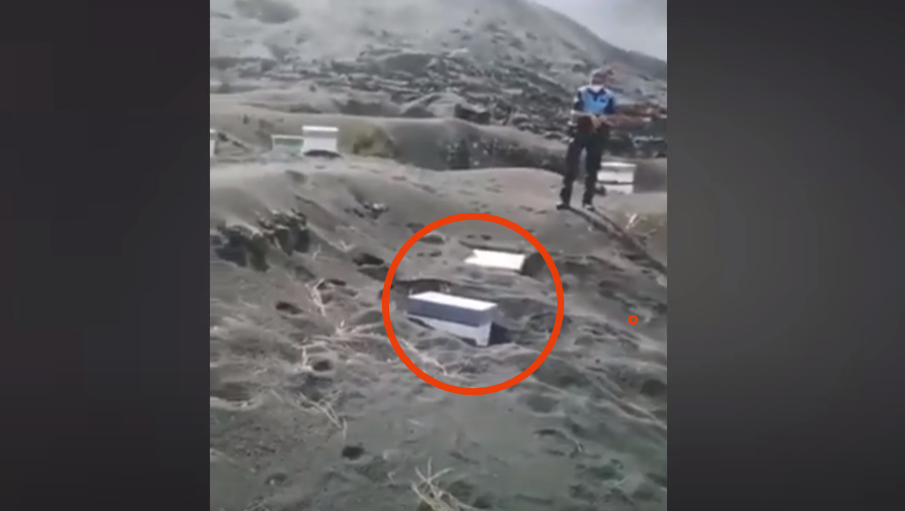 VIDEO uimitor. 5 stupi cu albine au rezistat 50 de zile după ce au fost acoperite cu lavă și cenușă