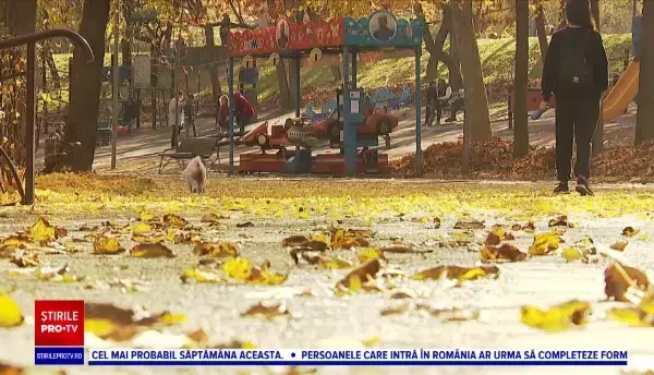 Horoscop 6 decembrie, cu Neti Sandu. Leii primesc bani din mai multe părți