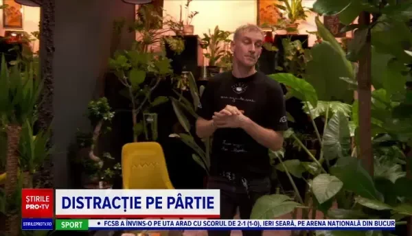 De ce au ajuns grădinile de interior populare în România. Plantele provin din Asia și Africa de Sud