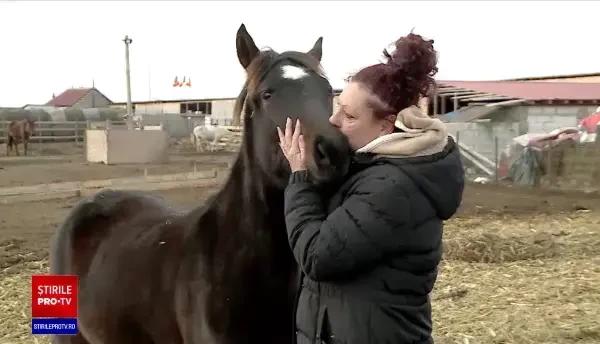 Sute de animale de la un adăpost din Dolj riscă să moară de foame. Rezervele de hrana sunt aproape de zero