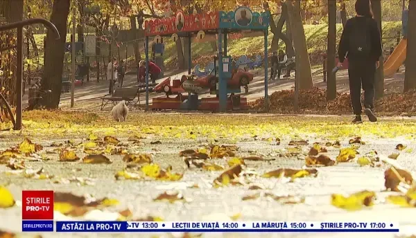 Horoscop 7 decembrie, cu Neti Sandu. Peștii au parte de o promovare