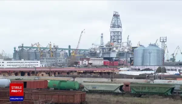 „Exportăm floarea soarelui şi importăm ulei”. Prețurile alimentelor cresc, deși avem o producție agricolă record