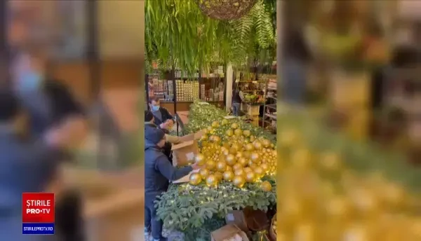 Oamenii s-au grăbit să aducă în curţile şi în casele lor un strop din magia Crăciunului