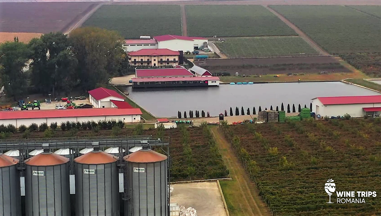 Wine Trips România | Crama Hermeziu, locul unde rose-ul se transformă în vin de poveste