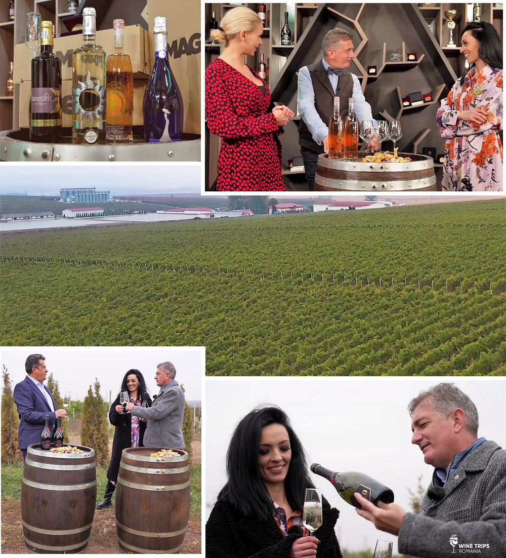 wine trips hermeziu