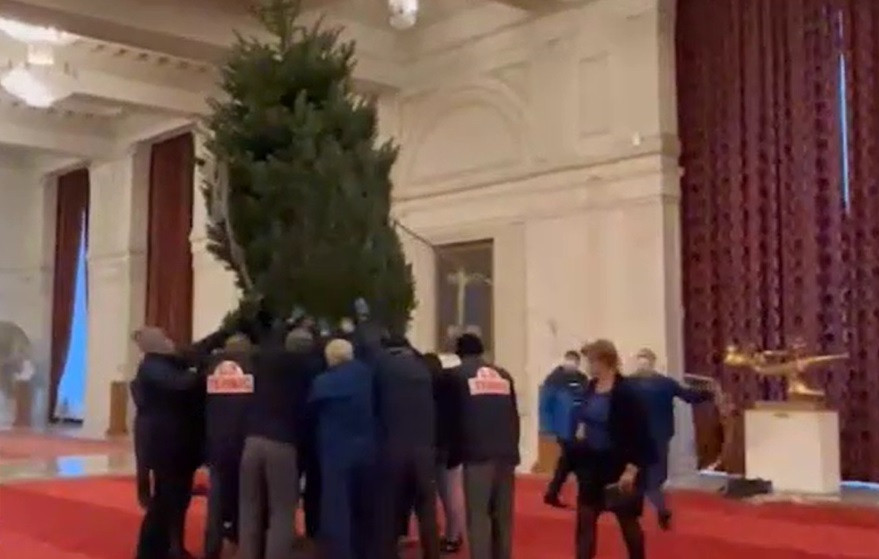 Deputații se vor bucura de un brad imens de Crăciun. 11 oameni au cărat copacul pe holul Casei Poporului. VIDEO