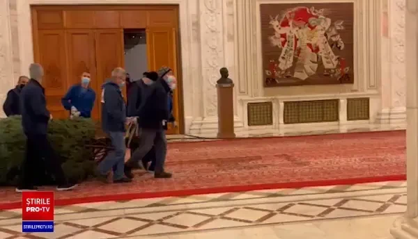 Deputații se vor bucura de un brad imens de Crăciun