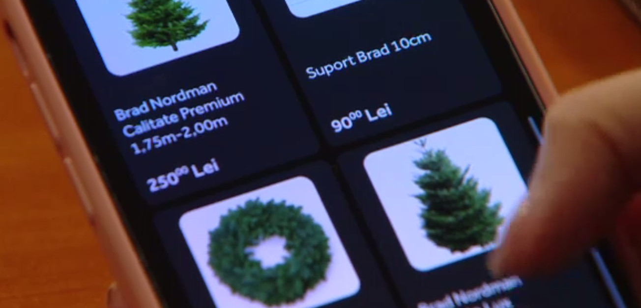 Brazii de Crăciun pot fi comandați online. Cum funcționează serviciul