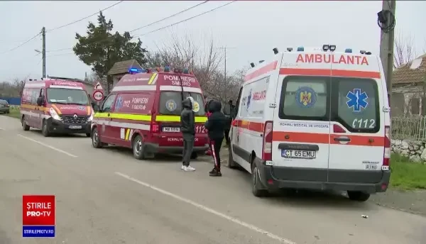 Un copil de 6 ani din Constanța a murit după ce fost atacat de o haită de câini fără stăpân