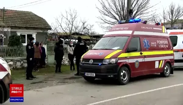 Mărturii șocante în cazul băiețelului de șase ani din Constanța, ucis de o haită de câini