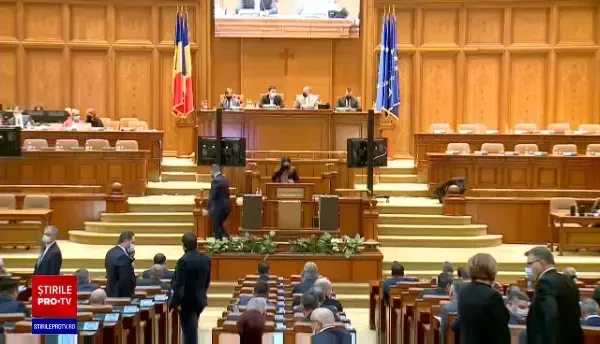 Alexandru, fratele liderului PSD Paul Stănescu, numit în comitetul ANRE. USR sesizează CCR