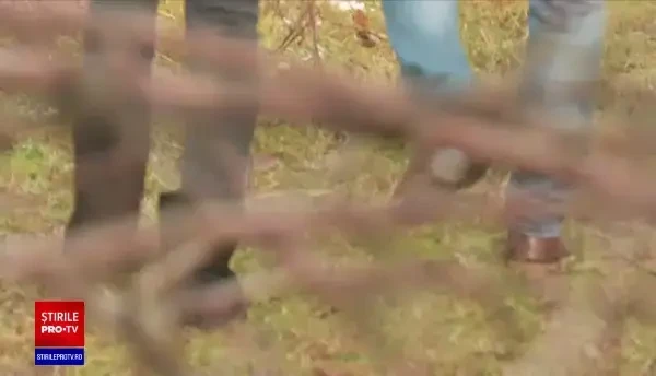 Un copil de 14 ani, din Sălaj, a fost împușcat într-o pădure. Băiatul căuta un brad pentru Crăciun