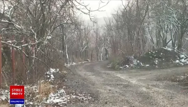 .Un copil de 14 ani, din Sălaj, a fost împușcat într-o pădure. Băiatul căuta un brad pentru Crăciun