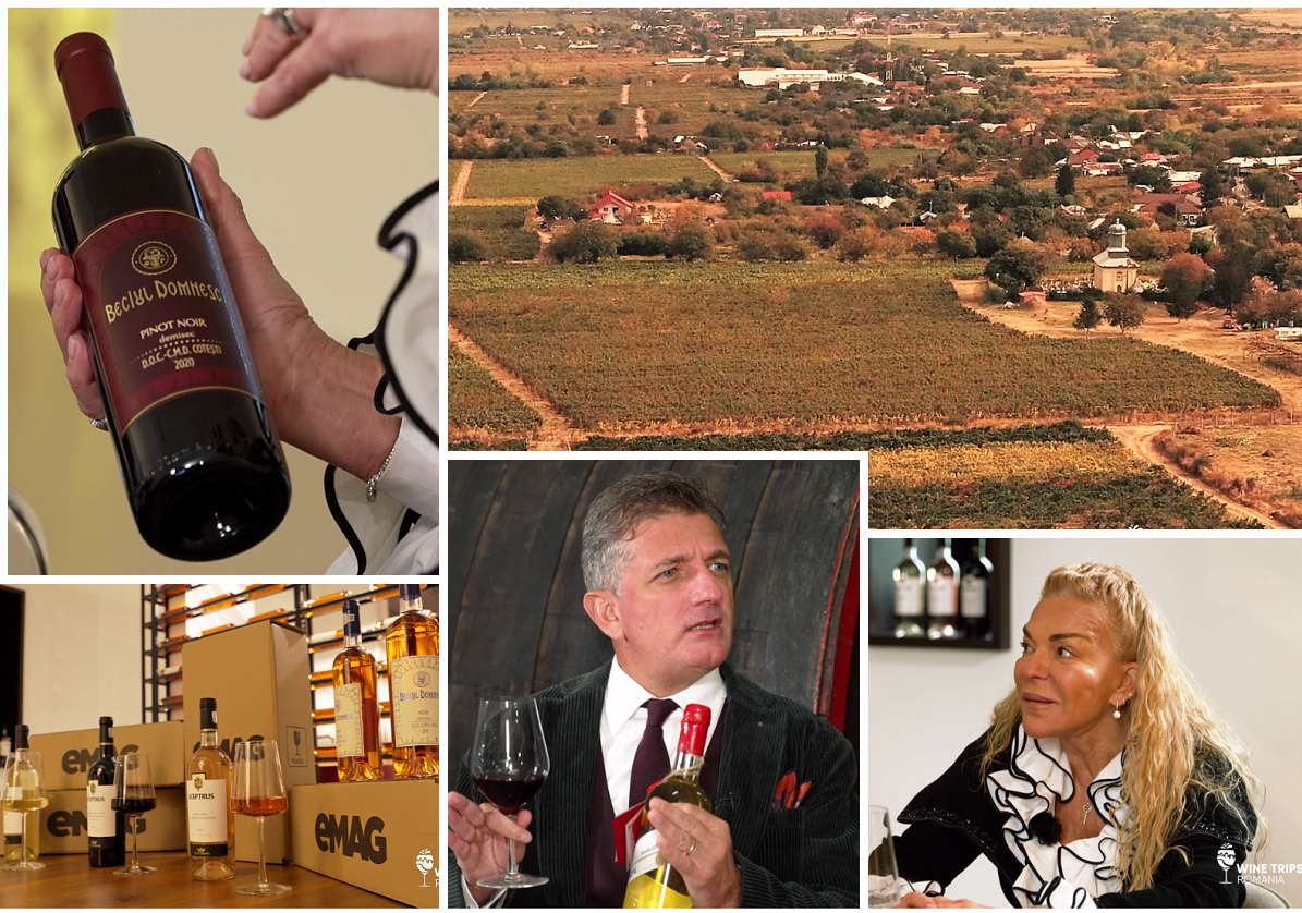 wine trips crama beciul domnesc