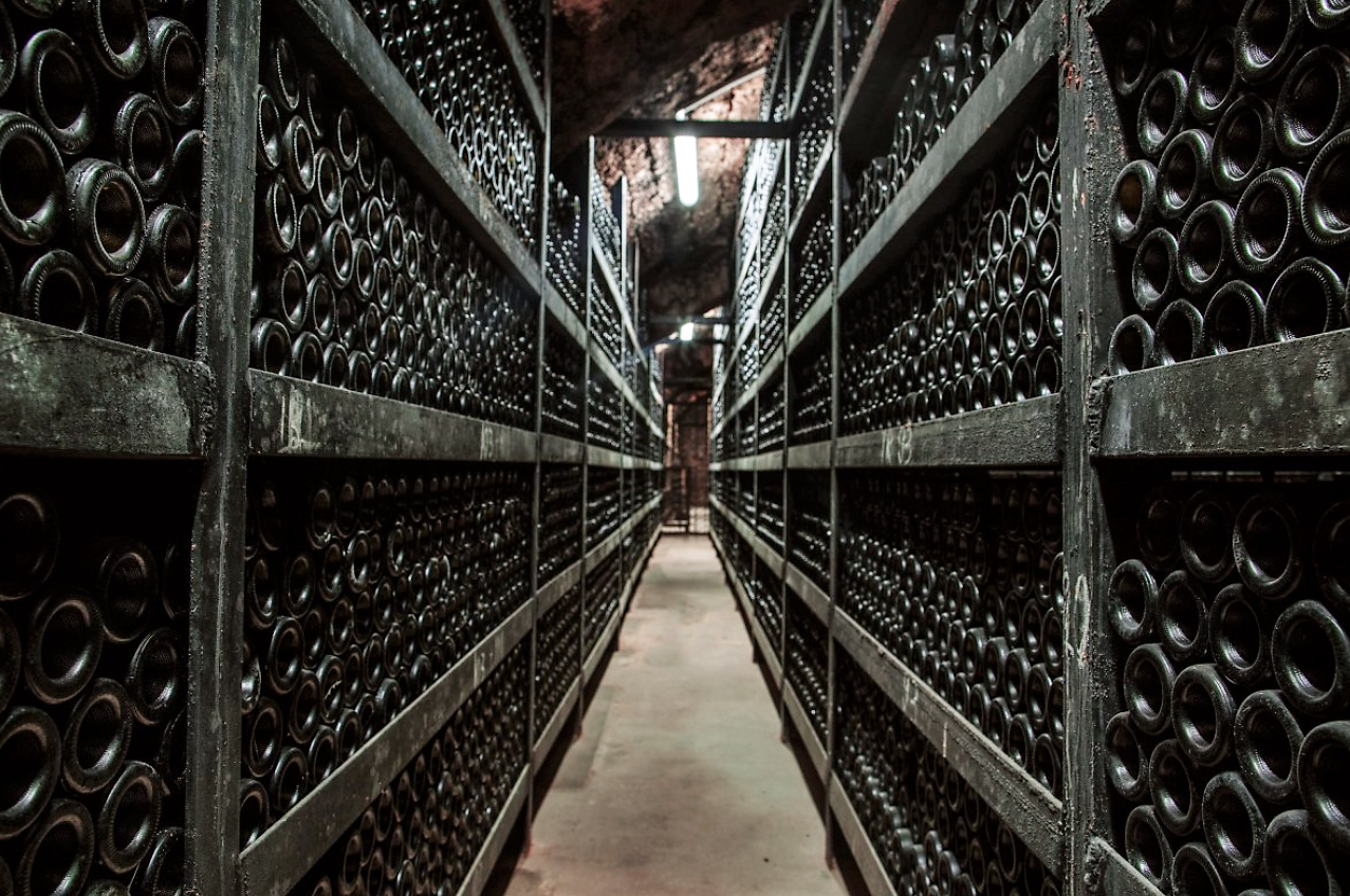 wine trips crama beciul domnesc