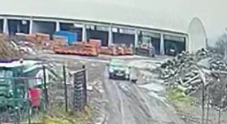 Imagini șocante surprinse în Dej. Un șofer a abandonat un câine, iar apoi l-a călcat cu mașina