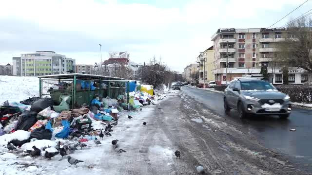 Orașul Baia Mare e sufocat de gunoaie: "Trăim în mizerie și cu sobolani pentru că cineva își bate joc de noi"