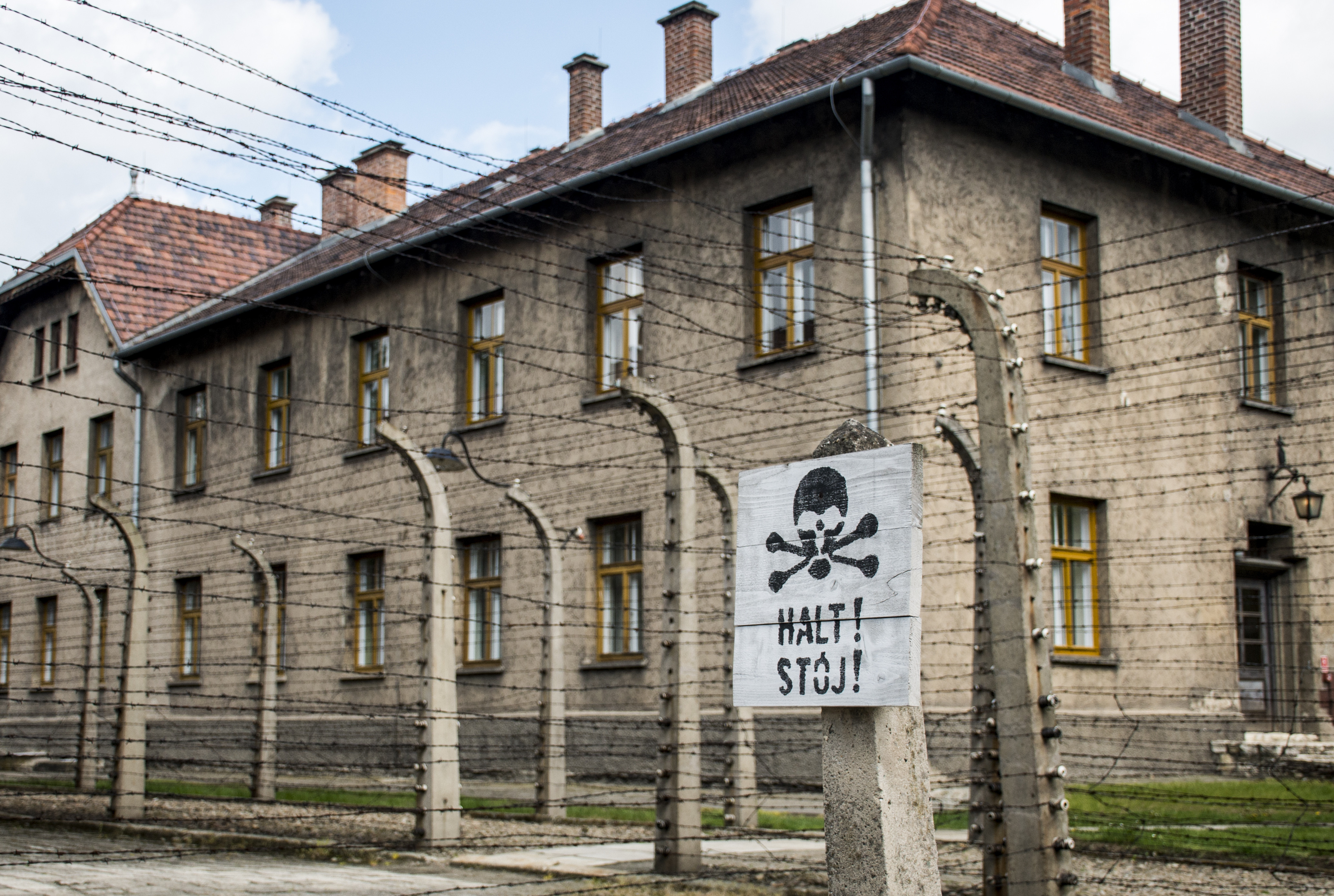 Mai mulți elevi de clasa a treia au fost obligați să reconstituie Holocaustul și să sape șanțuri pentru gropi comune