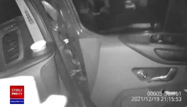 O femeie din Arad a fost atacată pe stradă de doi câini din rasa Amstaff