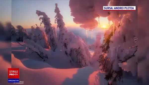 Ninsorile din ultimele zile au acoperit munții cu zăpadă. Ce prețuri ne așteaptă pe pârtii