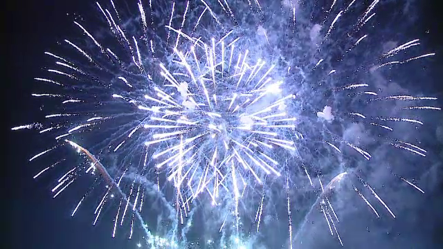 O asociație din Cluj-Napoca cere ca jocurile de artificii de sărbători să nu mai aibă loc, pentru a proteja animalele