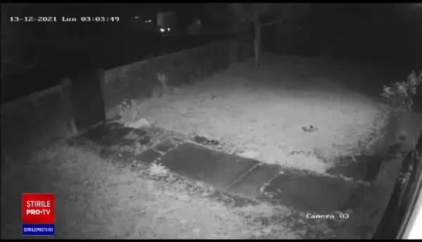 Primarul scos din râu în timp ce fugea după ce a dat foc primăriei a folosit pentru incendiere motorina pentru deszăpezire