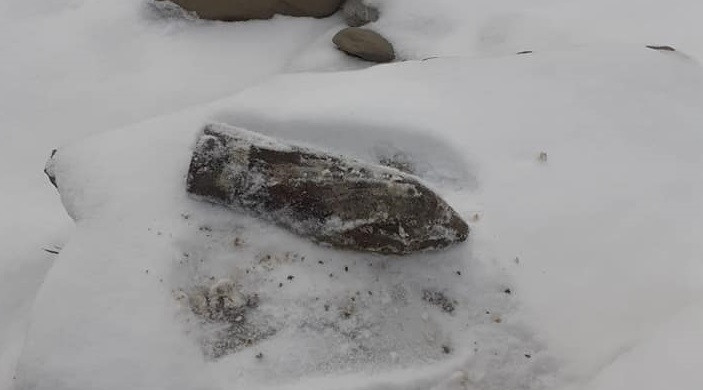 Un bărbat aflat la pescuit pe râul Putna a găsit un proiectil exploziv