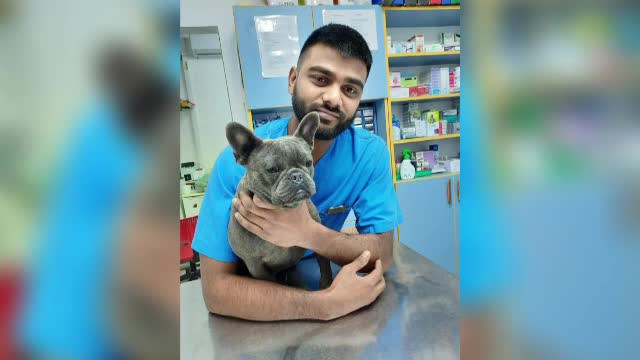 Zeci de mii de muncitori străini vor sărbători Crăciunul în România