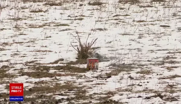 Un copil de opt ani din Constanța va rămâne mutilat pe viață după ce i-a explodat o petardă în mână