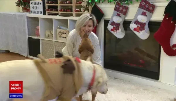 Ce soluții la îndemână au proprietarii de animale atunci când pleacă în vacanță