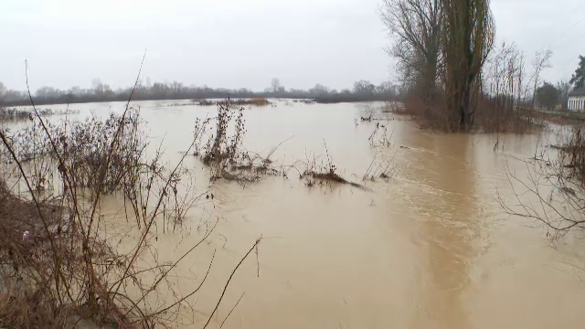 Inundațiile au făcut prăpăd în vestul României, la sute de hectare cu culturi agricole