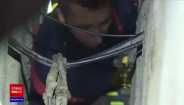 O femeie de 60 de ani a rămas blocată în subsolul unui bloc din Sectorul 5, după ce ar fi încercat să hrănească niște pisici