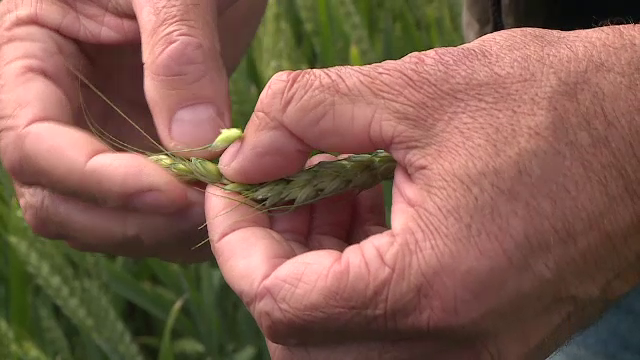 2021 a fost unul dintre cei mai prosperi ani pentru firmele cu profil agricol