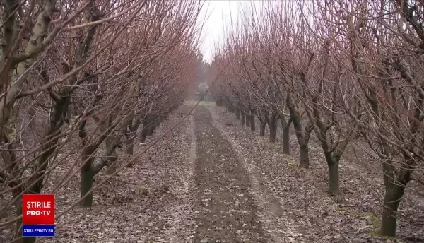 2021 a fost unul dintre cei mai prosperi ani pentru firmele cu profil agricol