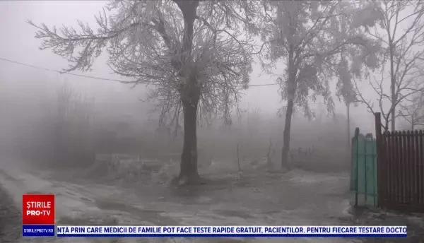 O femeie din județul Prahova, sechestrată în casă de tatăl ei. Era ținută într-o încapere cu gratii la geamuri