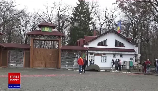 Grădina Zoologică din Târgu Mureș are locatari noi: trei reni și două bufnițe polare