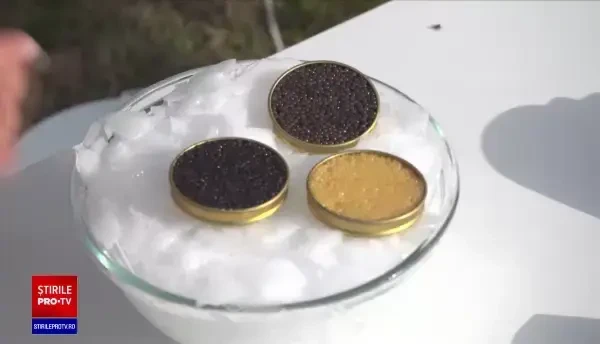 Ce preț au icrele negre și cum le consumăm în noaptea dintre ani