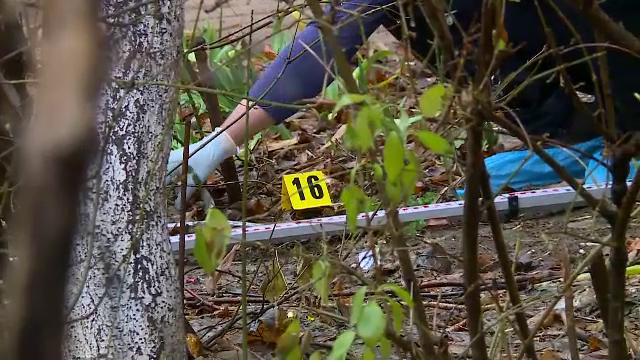 Tentativă de omor în București. Un bărbat de 71 de ani și-a înjunghiat soția, apoi a aruncat arma pe geam