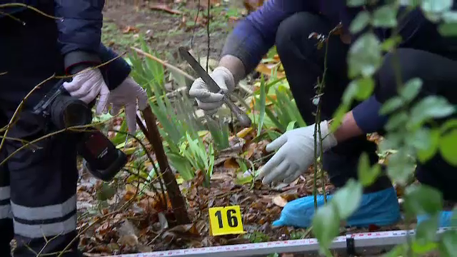 Un bărbat de 71 de ani din București și-a înjunghiat soția, apoi a aruncat cuțitul pe geam. Ce spun vecinii