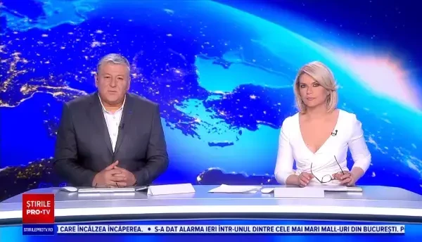 Fosila celui mai mare gândac ce a trăit vreodată pe Terra va fi expusă la un muzeu din Marea Britanie