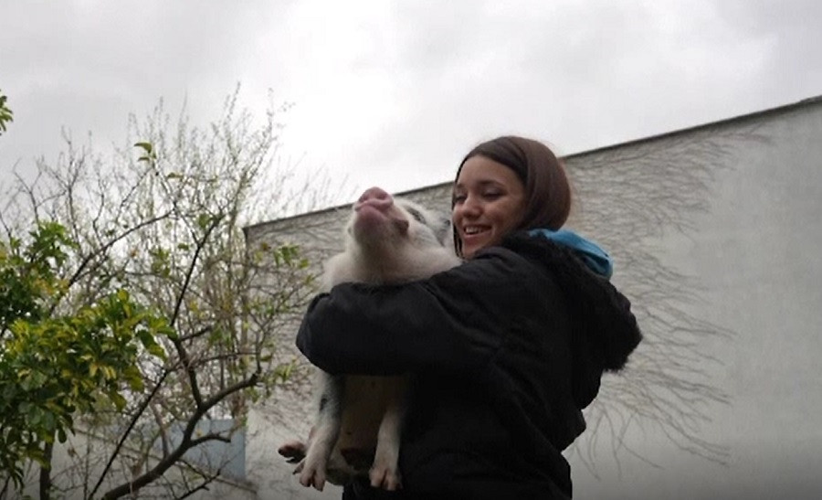 Oamenii au început să adopte tot mai multe animale. Care sunt cele mai ciudate necuvântătoare care se găsesc în case