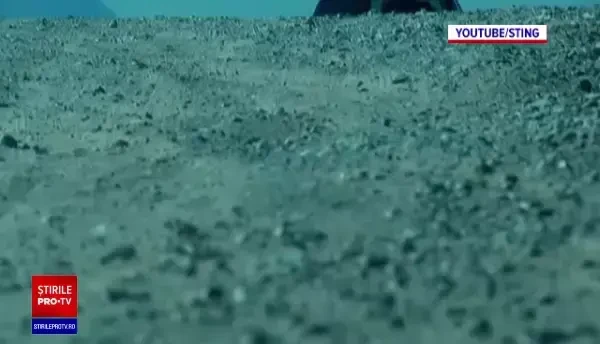 Concerte de răsunet programate în 2022. Sting și Maluma, printre vedetele așteptate în România