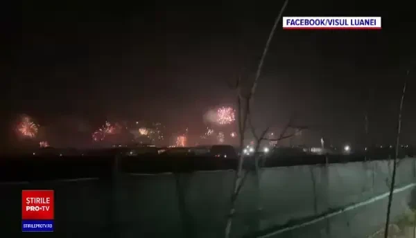 Victimele nopții de Revelion. Unii oameni încă își caută animalele de companie dispărute de frica artificiilor