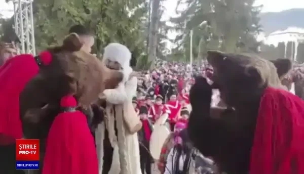 Un colindător costumat în urs și-a cerut iubita de soție chiar pe scena unui festival