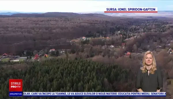 Locul de poveste de la poalele Munților Făgăraș. La Valea Avrigului, ciutele îți mănâncă din palmă