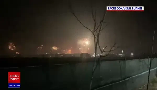 Victimele nopții de Revelion. Unii oameni încă își caută animalele de companie dispărute de frica artificiilor