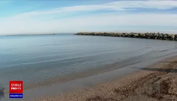 Schimbările climatice influențează fauna din Marea Neagră. Specia otrăvitoare care ar putea apărea și la noi