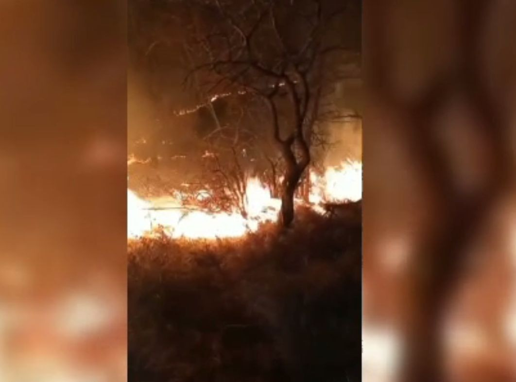 Incendiu puternic lângă vulcanii noroioși din Buzău. Au ars 80 de hectare de vegetație