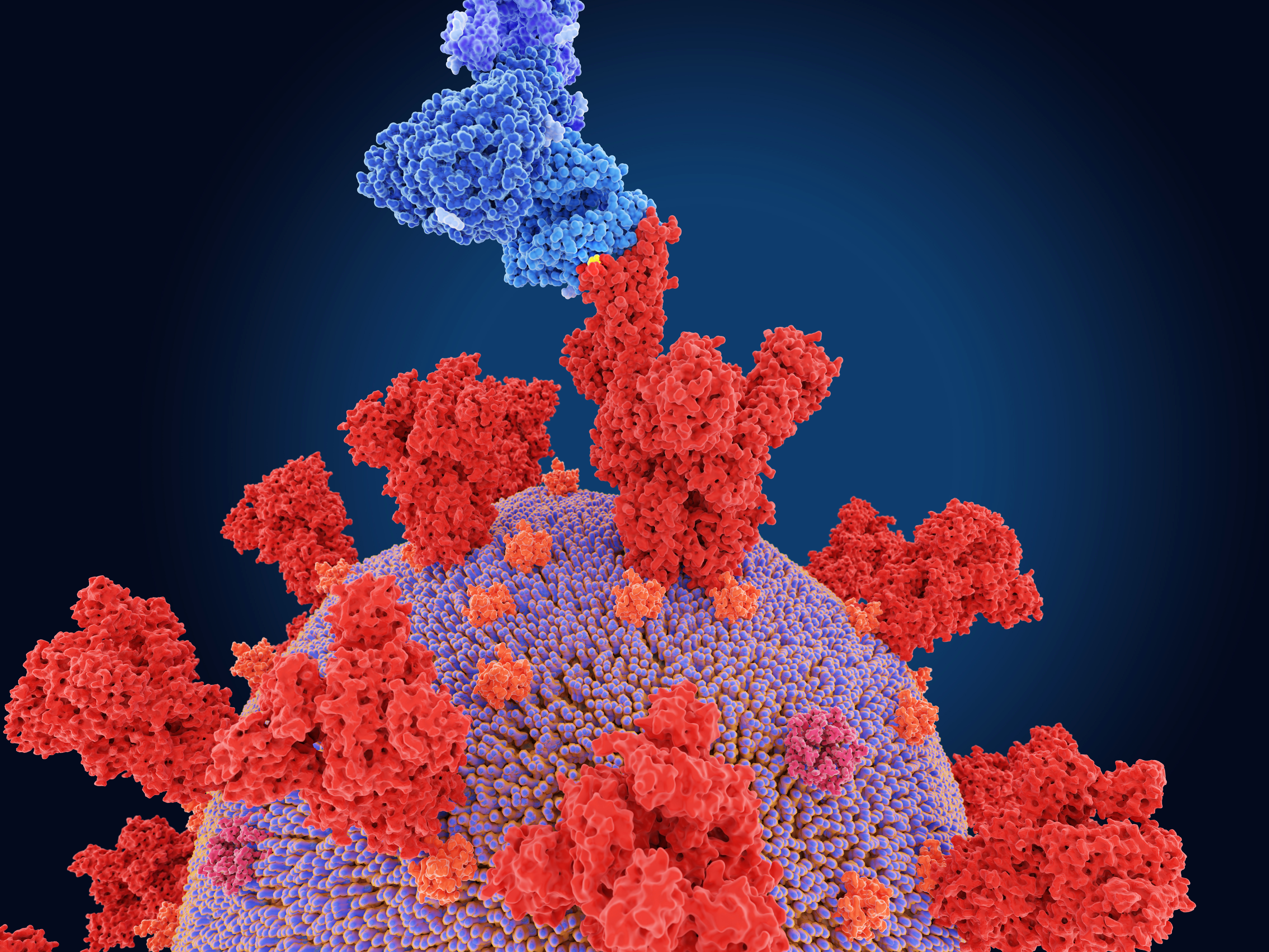 Coronavirus România, 15 iulie 2022. 4.107 cazuri noi de Covid-19 și trei decese